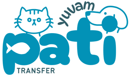 Pati Yuvam Transfer